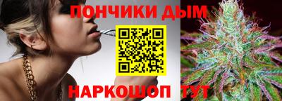 сатива Сланцы