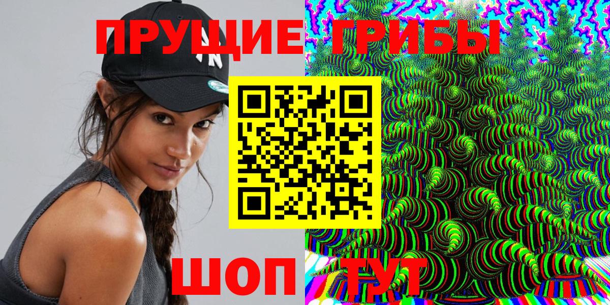 Псилоцибиновые грибы Cubensis Сосновый Бор