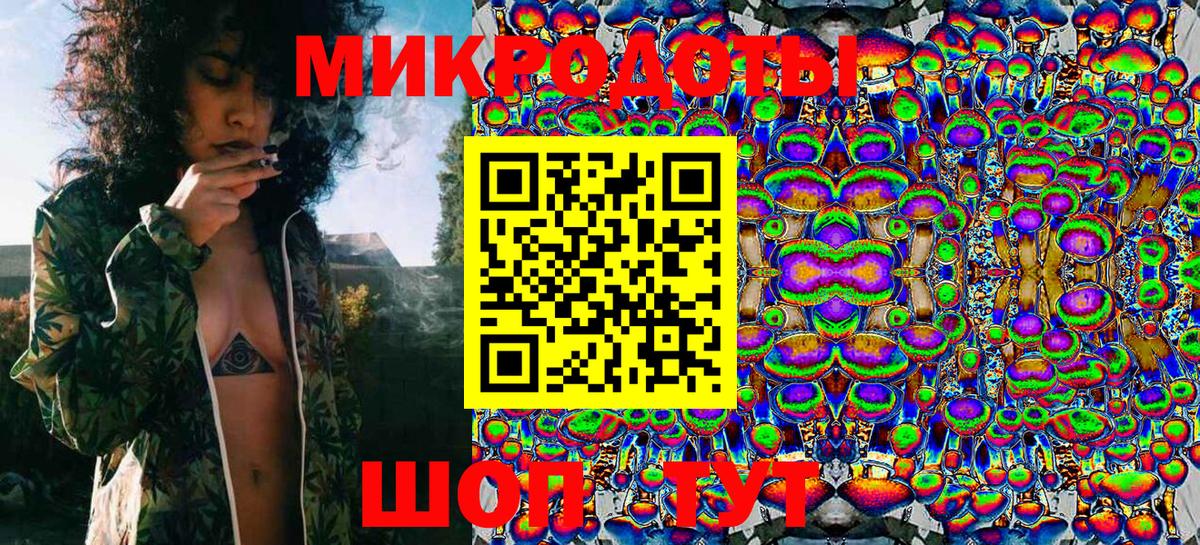 Псилоцибиновые грибы Cubensis Сосновый Бор