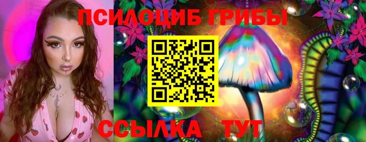 Сосновый Бор  Псилоцибиновые грибы Magic Shrooms  Вход с VPN 